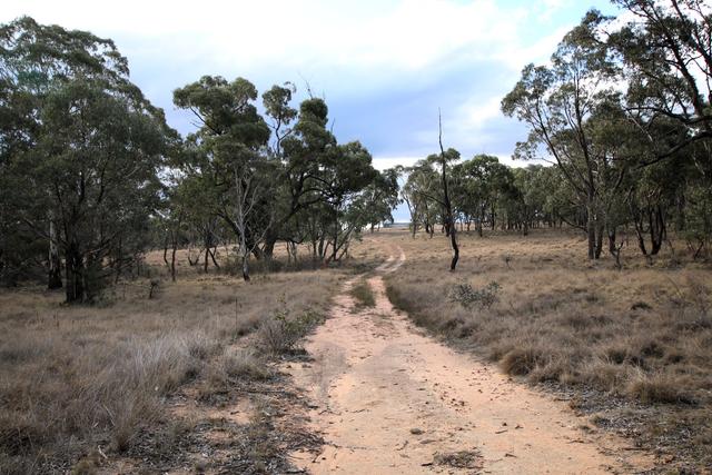 397 Rothlyn Road, NSW 2630