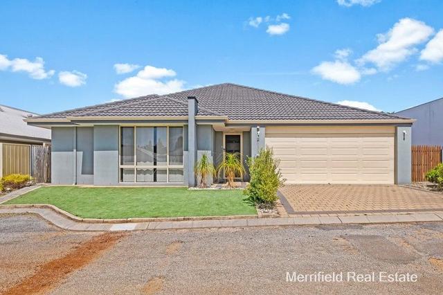 2/50 Lion Street, WA 6330