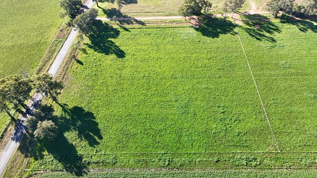 12 Halls Lane, NSW 2810