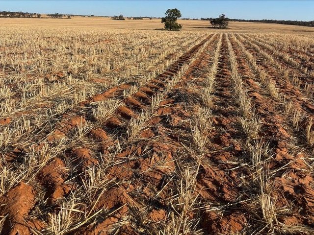 4049 Mallee Highway, VIC 3546