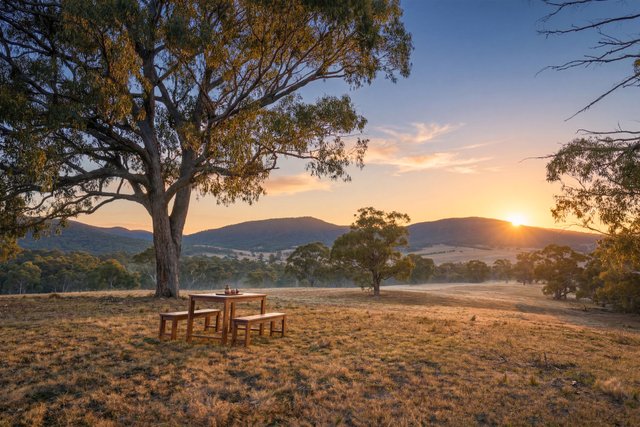 1035 Jerangle Road, NSW 2626