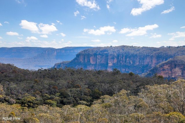 28 Maple Grove, NSW 2782