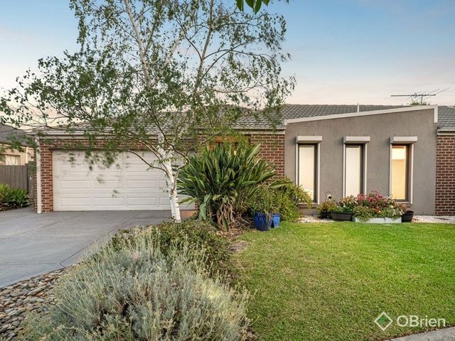 17 Wotan Way, VIC 3977
