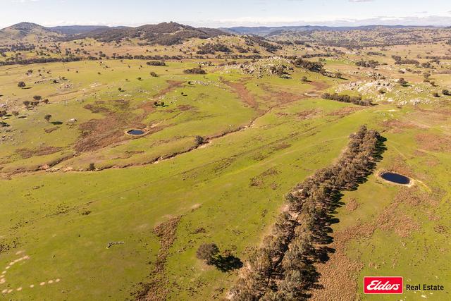 Reids Flat Road, NSW 2586