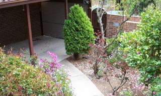 Garden / Carport