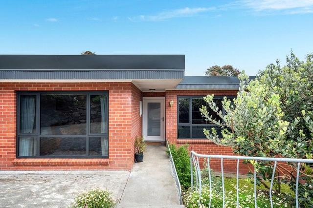 25 Bealey Ave, TAS 7008
