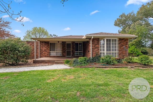 13 Springvale Drive, NSW 2650