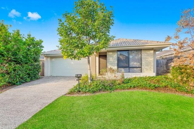 13 Wallis Circuit, QLD 4509