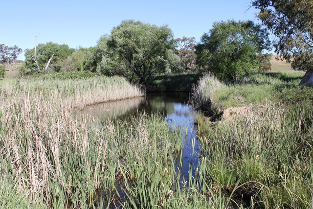 413 Flacknell Creek Road, NSW 2581