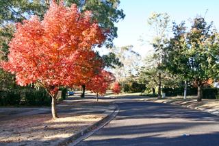 Streetscape