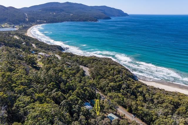 142 Blowhole Road, TAS 7179