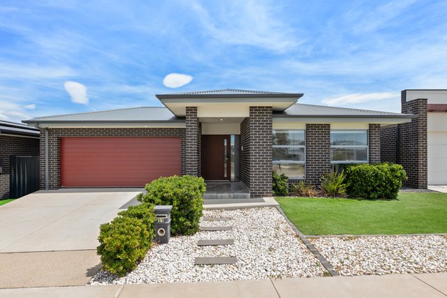 11 Marjorie Matthews Street, ACT 2913