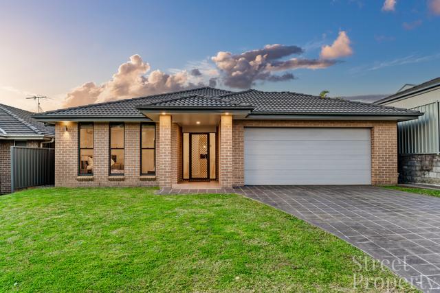 23 Tuckeroo Circuit, NSW 2289