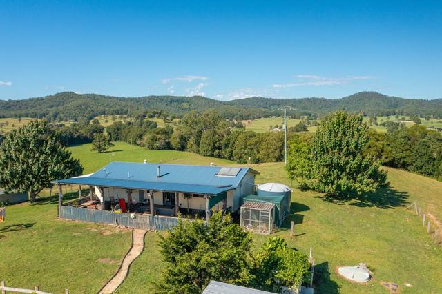 55 Lower Buckrabendinni Road, NSW 2449