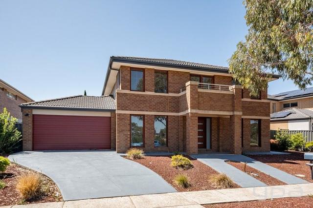 20 Pedder Street, VIC 3024