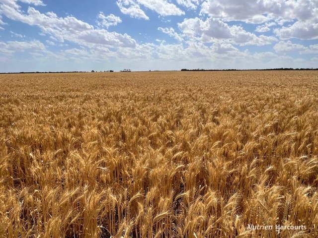 Lot 504 Dowerin-Koorda Road, WA 6475