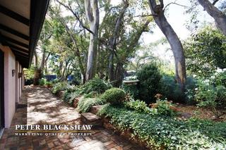 Garden (2011-04-07)