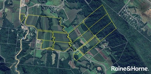 217 Cassowary Road, QLD 4873