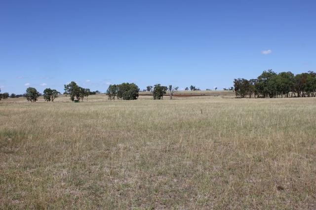 'Red Hill' 1263 Copeton Dam Rd, NSW 2360