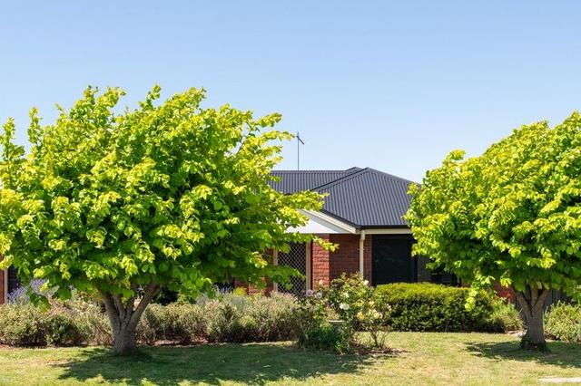 15 Bethune Place, TAS 7248