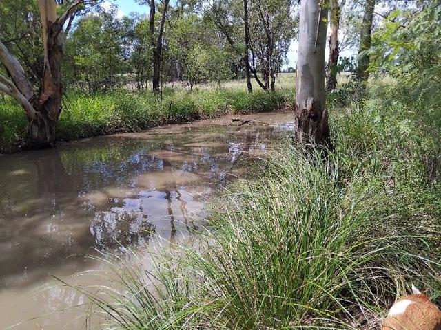 (no street name provided), QLD 4421