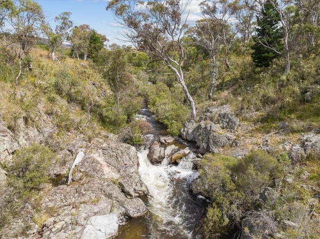 4436 Jerangle Road, NSW 2623