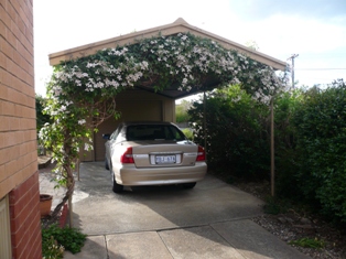 Carport + garage