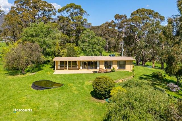 177 Main Street, TAS 7109