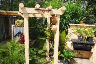 Garden (2010-12-08)