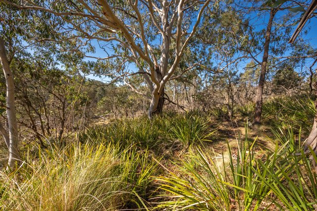 153 Blue Bush Road, NSW 2622