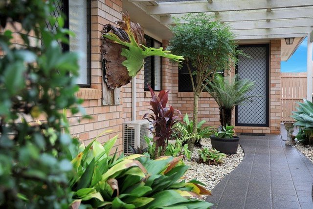 1 Holt Street, QLD 4350
