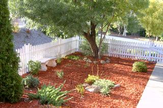 Front garden