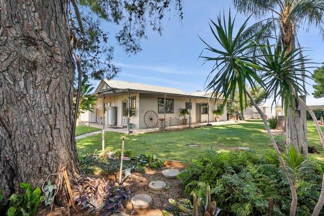 158 Paroo Street, SA 5341