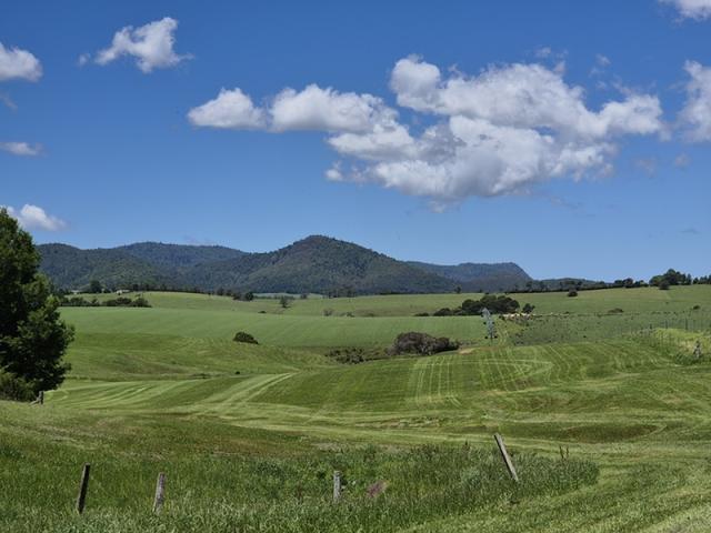 17 Cofton Close, NSW 2453