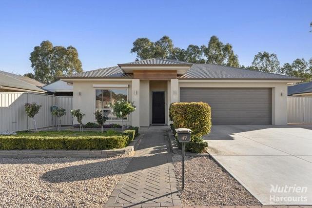 47 Flinders Street, SA 5341