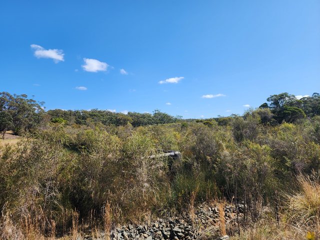 lot 16 Advance Road, NSW 2540