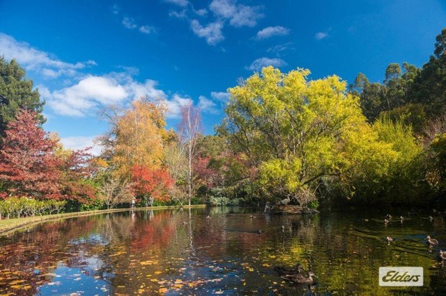 7 &  11 Ellesmere  Place, VIC 3446
