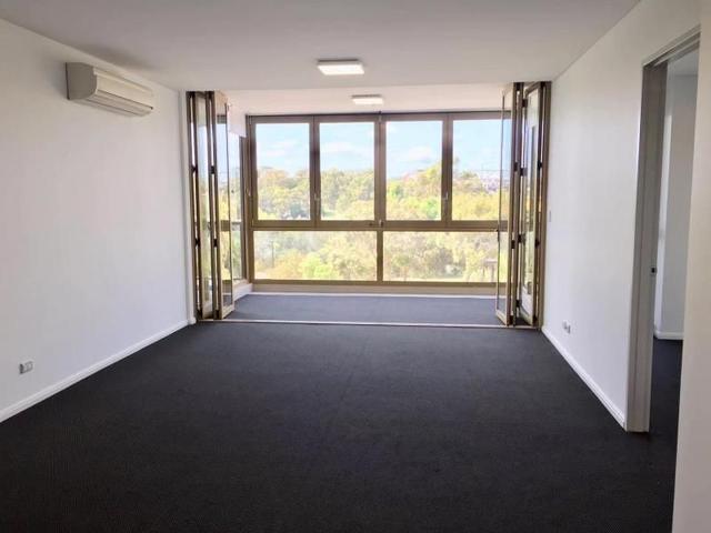 545/2 Mill Park Street, NSW 2138