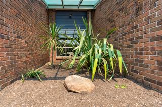 Fernery through lounge (2020-01-14)