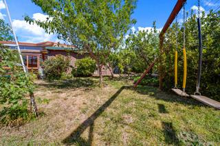 Backyard (2019-10-31)