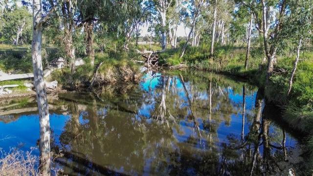 79 Leyburn Forestry Road, QLD 4370