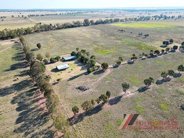 223 Ellis Road, NSW 2827