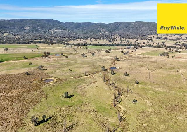 406 Dry Creek Road, NSW 2360