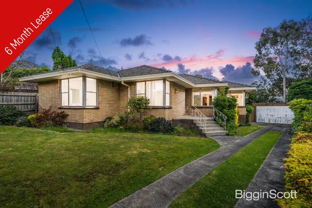 3 Wedge Court, VIC 3150