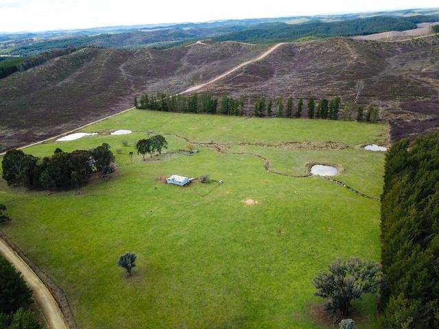 233 Logans Road, NSW 2653
