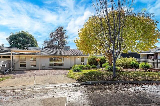 45 Chapman Crescent, SA 5097