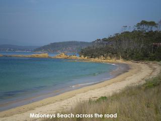 Maloneys Beach