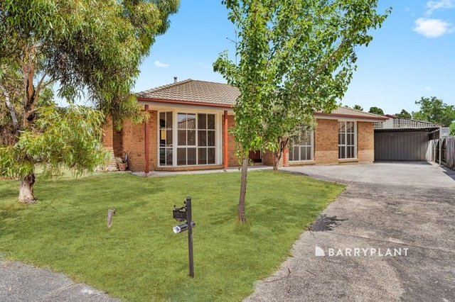 19 Phelan Drive, VIC 3977