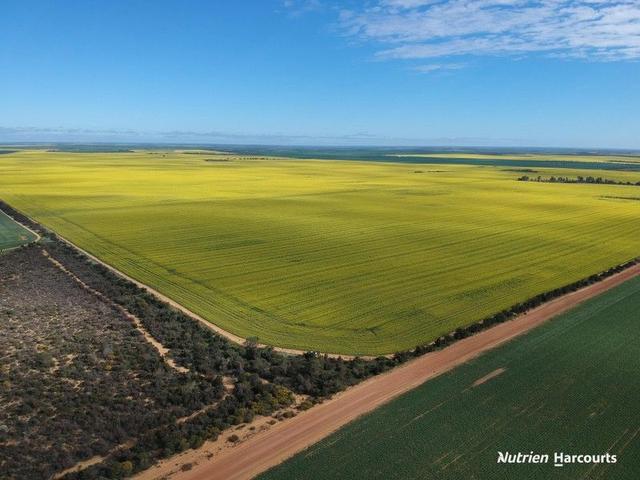 9880 North West Coastal Highway, WA 6532