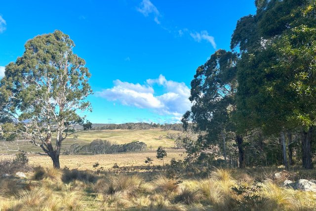 Stoney Ridge Road, NSW 2622